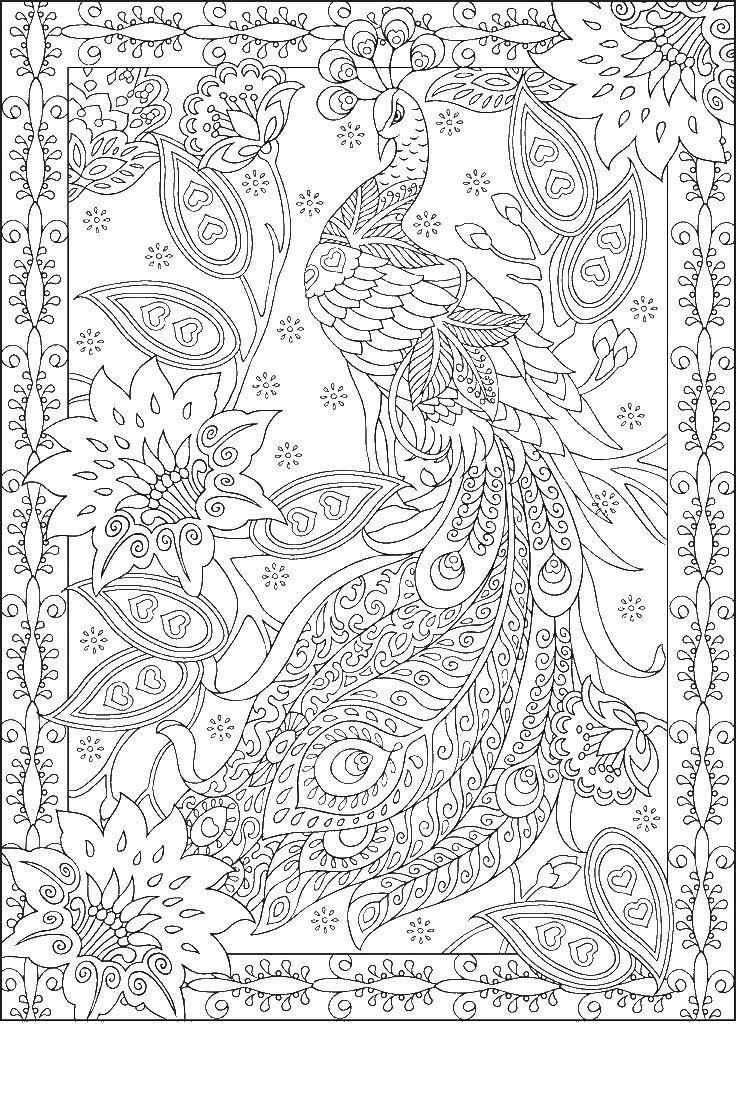 Coloring Patterned peacock. Category birds. Tags:  Birds, peacock.
