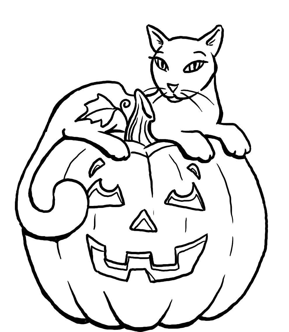 Название: Раскраска Кот на тыкве. Категория: Хэллоуин. Теги: Хэллоуин, тыква, кот.