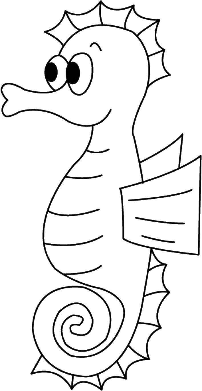 Название: Раскраска Морской конек. Категория: раскраски для маленьких. Теги: морской конек.