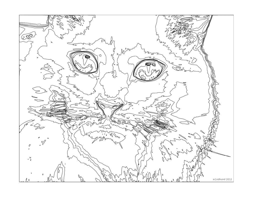 Название: Раскраска Узорный кот. Категория: Животные. Теги: Животные, котёнок.
