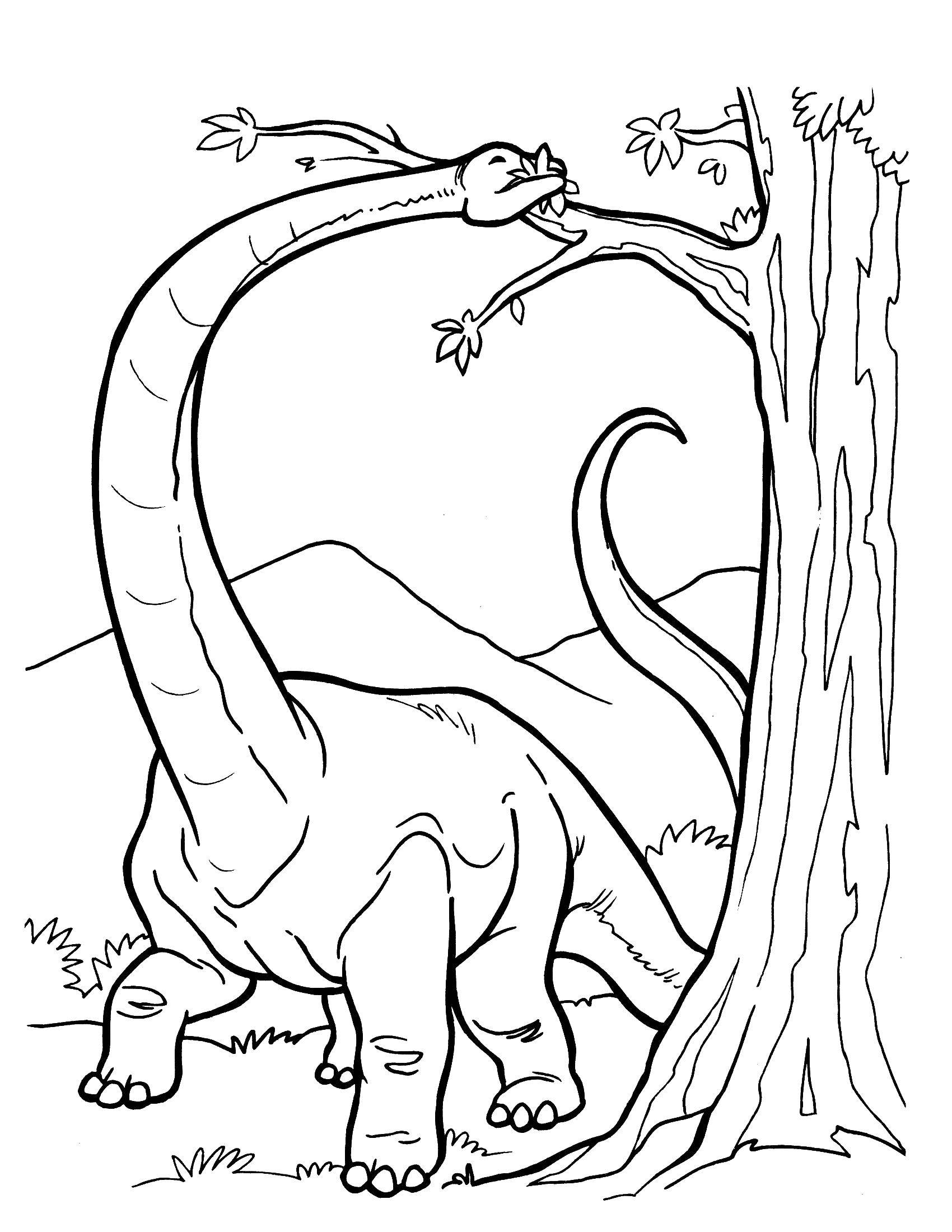 Название: Раскраска Апатозавр есть листья. Категория: динозавр. Теги: Динозавры.