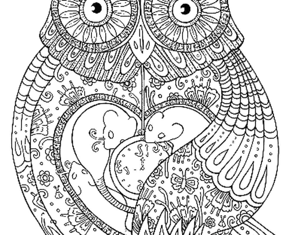 Coloring Ethnic owl. Category pattern . Tags:  Patterns, ethnic.