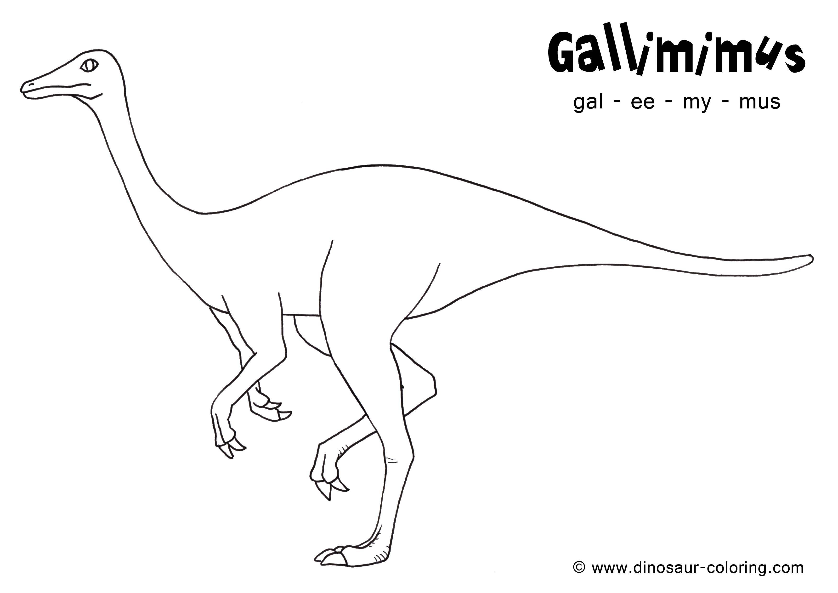 Название: Раскраска Галлиммим. Категория: динозавр. Теги: Динозавры.