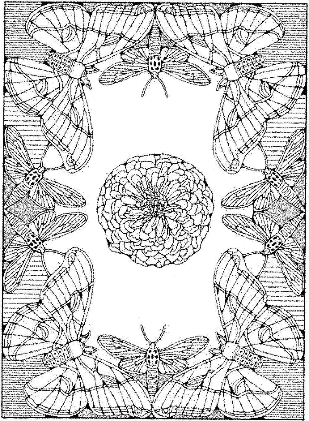 Название: Раскраска Стрекозы и бабочки вокруг цветка. Категория: бабочка. Теги: Насекомые, бабочка, стрекоза.