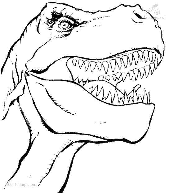 Coloring Toothy dinosaur. Category dinosaur. Tags:  Dinosaurs, Tyrannosaurus.