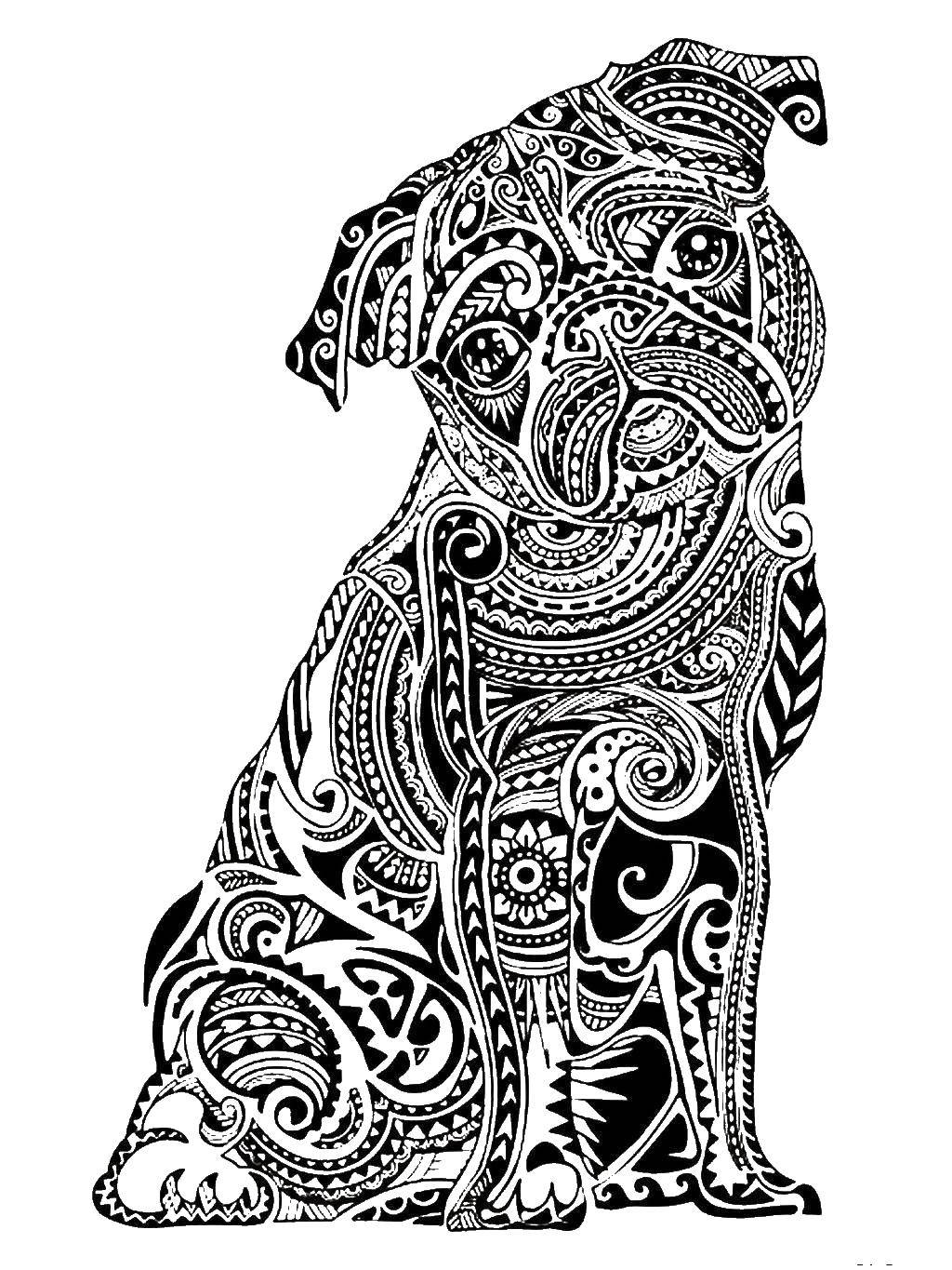 Coloring Pug patterns. Category patterns. Tags:  Patterns, animals.