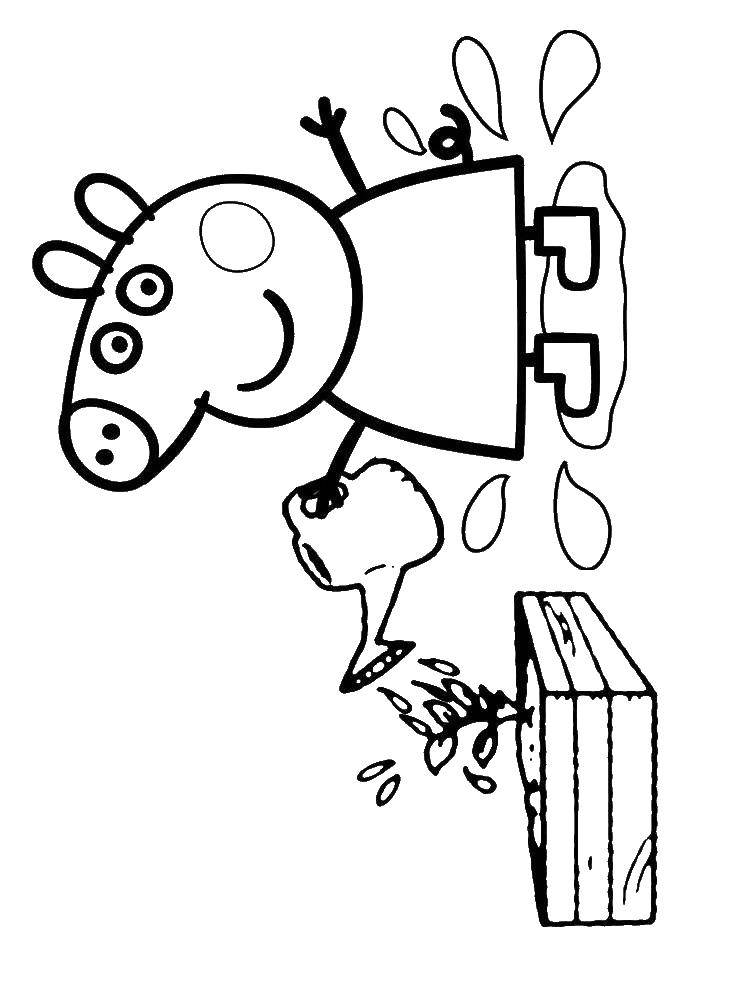 Coloring Pepa pig watering flowers. Category cartoons. Tags:  super Mario.