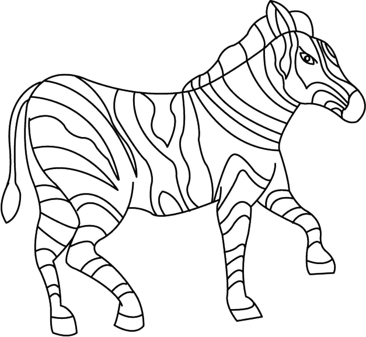 Coloring Zebra. Category Animals. Tags:  Zebra .