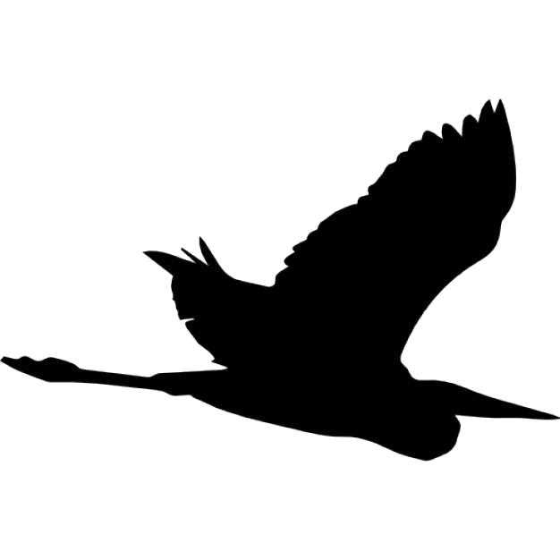 Название: Раскраска Айст в полете. Категория: Контуры для вырезания птиц. Теги: айст.