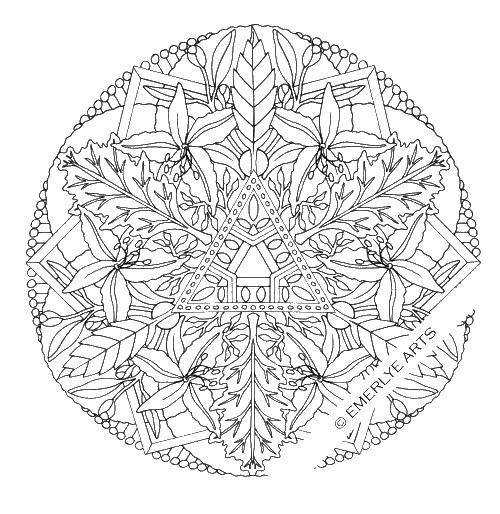 Coloring Patterns flowers. Category coloring antistress. Tags:  patterns, flowers.