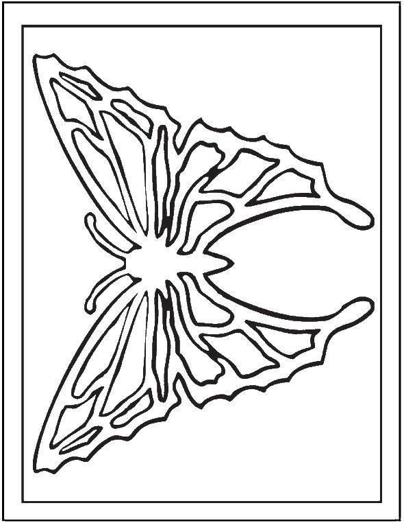 Coloring Butterfly. Category patterns. Tags:  Patterns, geometric.