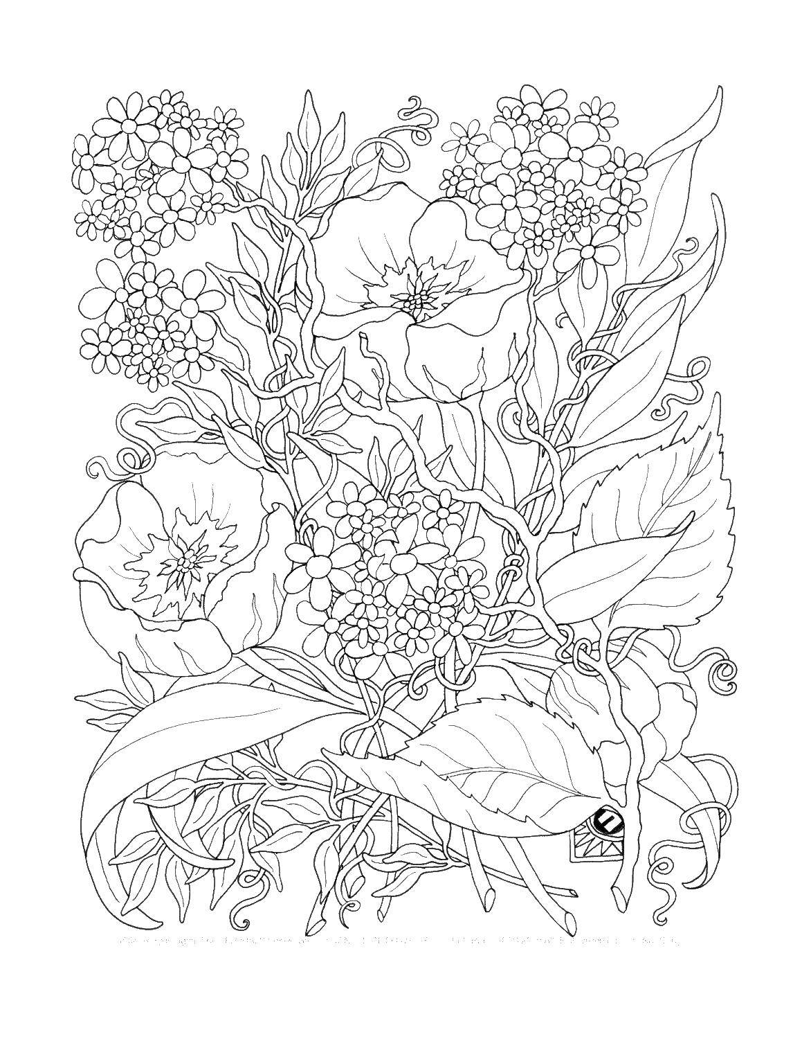 Coloring A bouquet of pretty flowers. Category flowers. Tags:  Flowers.