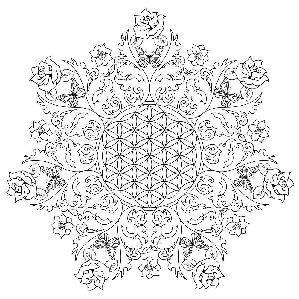 Coloring A delicate pattern. Category Patterns with flowers. Tags:  Patterns, flower.