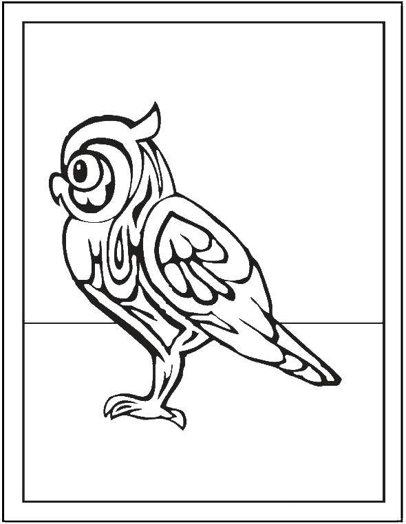 Coloring Owl. Category pattern . Tags:  Patterns, animals.