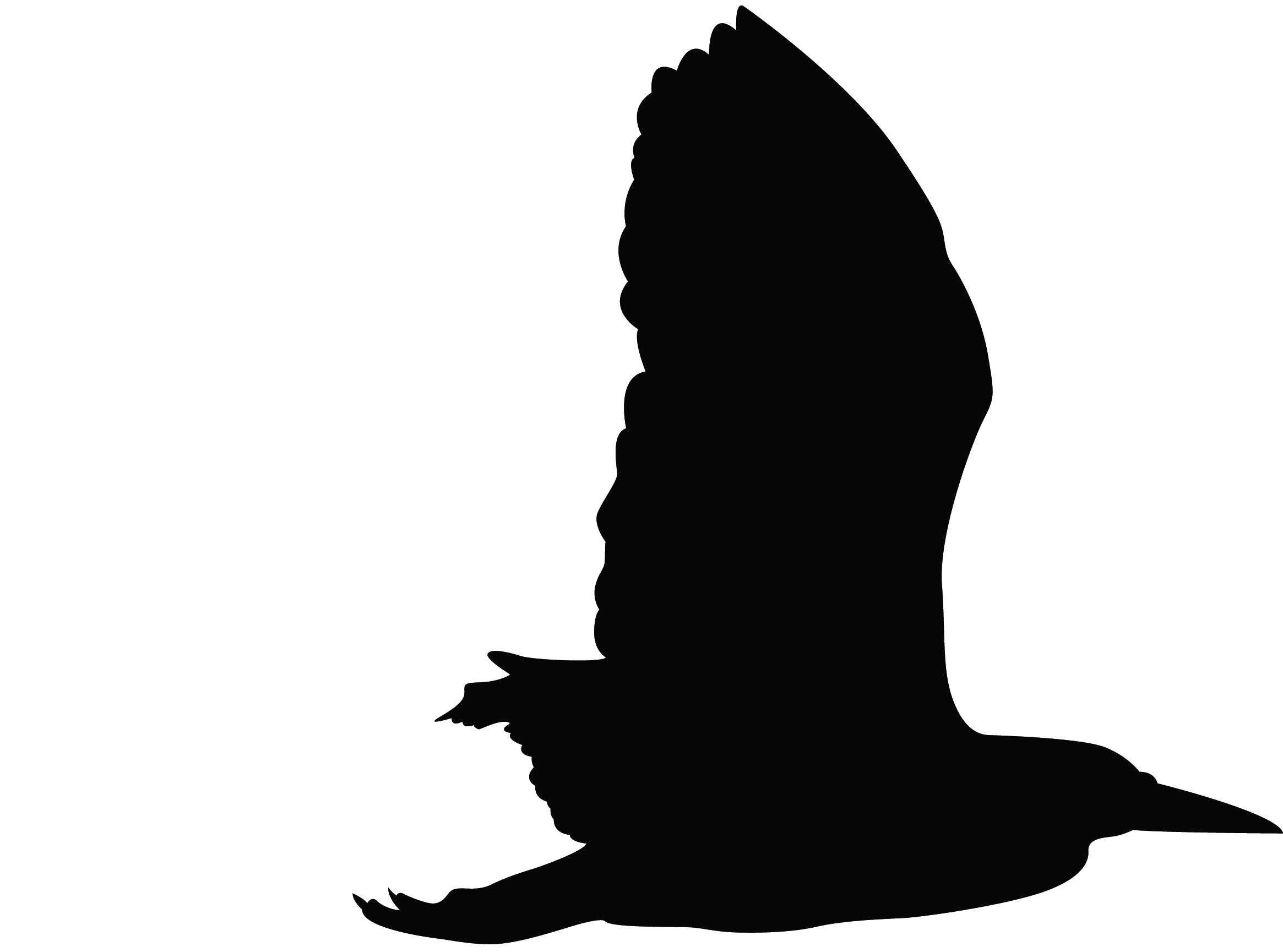 Название: Раскраска Ворон в полете. Категория: Контуры для вырезания птиц. Теги: ворон, полет.