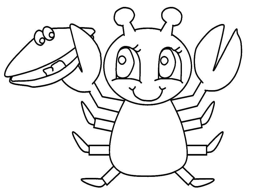 Опис: розмальовки  Крабик з черепашкою. Категорія: Морські тварини. Теги:  Підводний світ, краб.