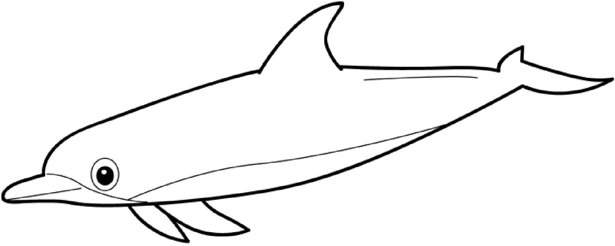 Название: Раскраска Дельфин. Категория: Морские животные. Теги: Подводный мир, дельфин.