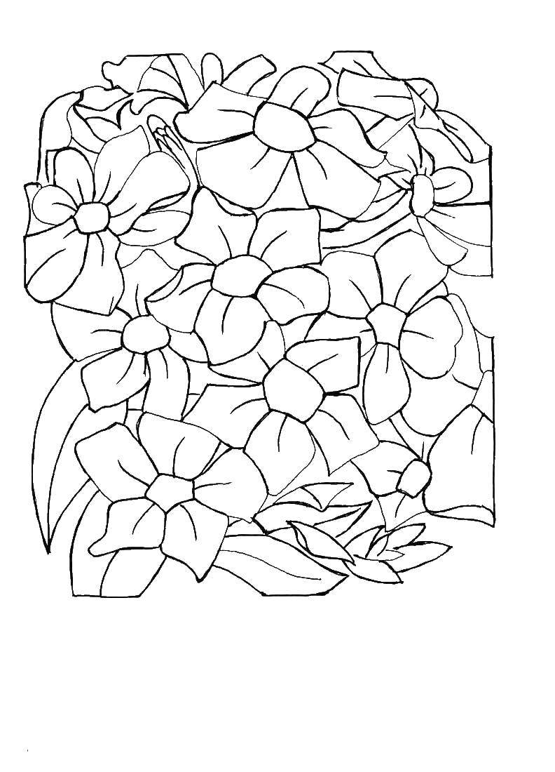 Coloring Flowers. Category Patterns with flowers. Tags:  Patterns, flower.