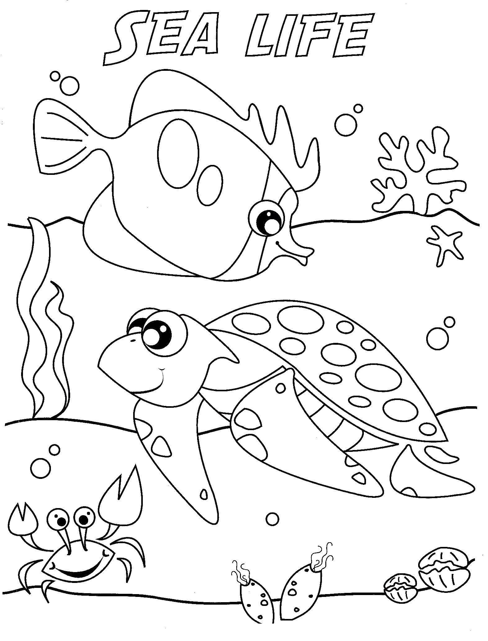Название: Раскраска Морская жизнь. Категория: Морские животные. Теги: Подводный мир, рыба, черепашка, краб.