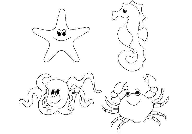 Название: Раскраска Морская звезда, морской конёк, осьминожка и краб. Категория: Морские животные. Теги: Подводный мир.
