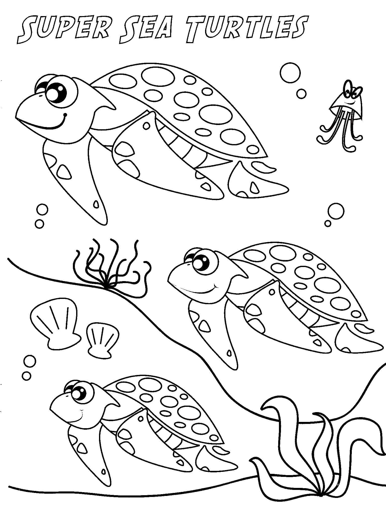 Название: Раскраска Морские черепахи. Категория: Морские животные. Теги: Рептилия, черепаха.