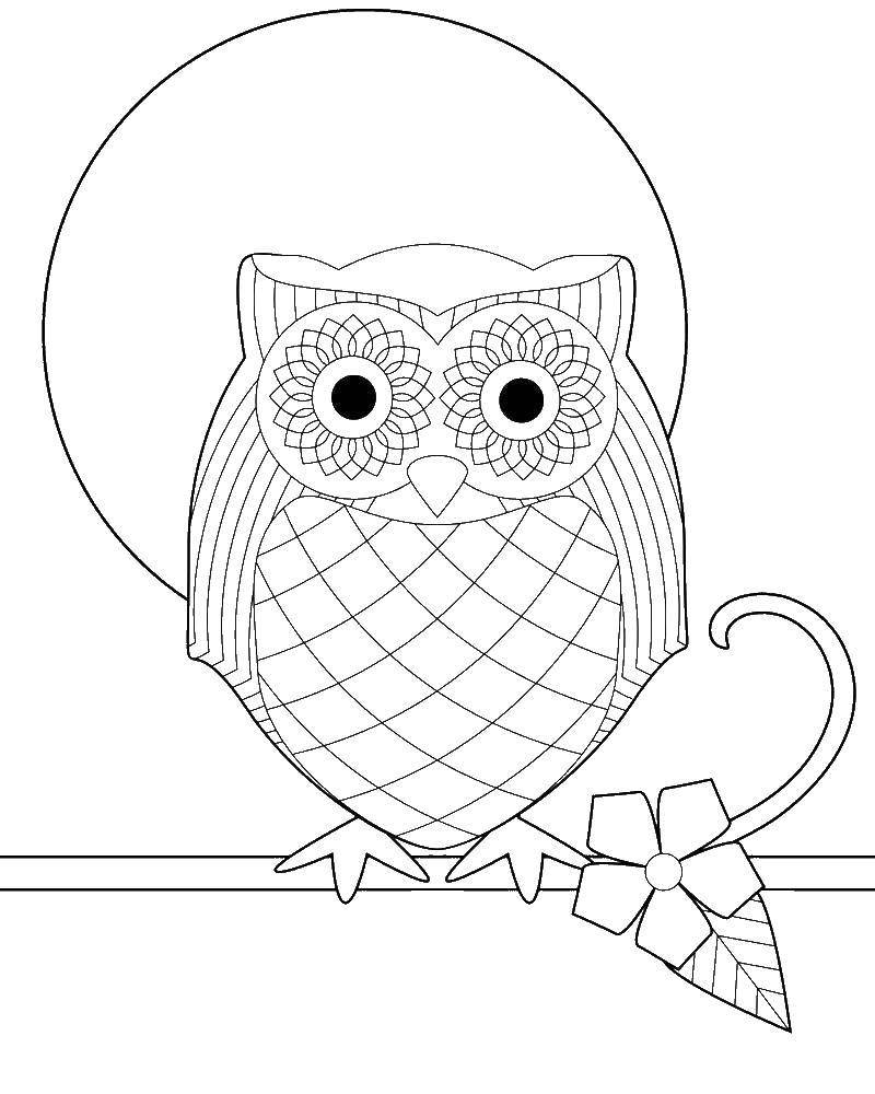 Coloring Patterned owl. Category Patterns. Tags:  Patterns, animals.