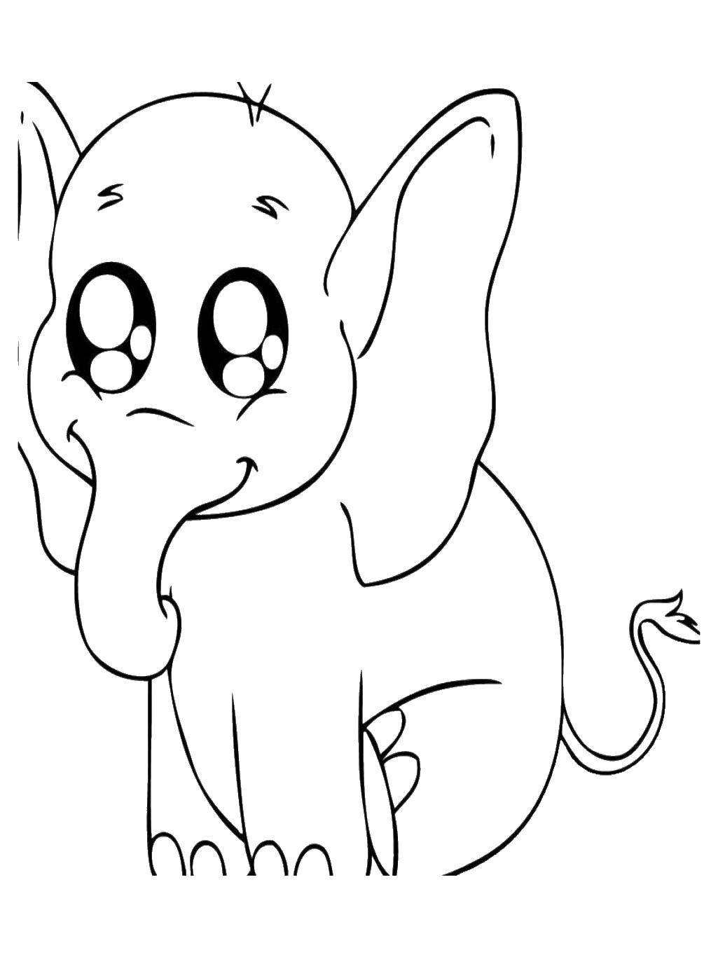 Coloring Big-eyed elephant. Category Animals. Tags:  Animals, elephant.