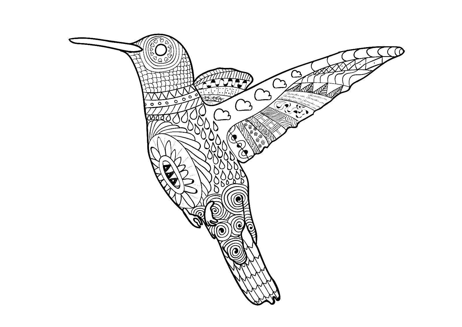 Название: Раскраска Узорная колибри. Категория: узоры. Теги: Узоры, животные.
