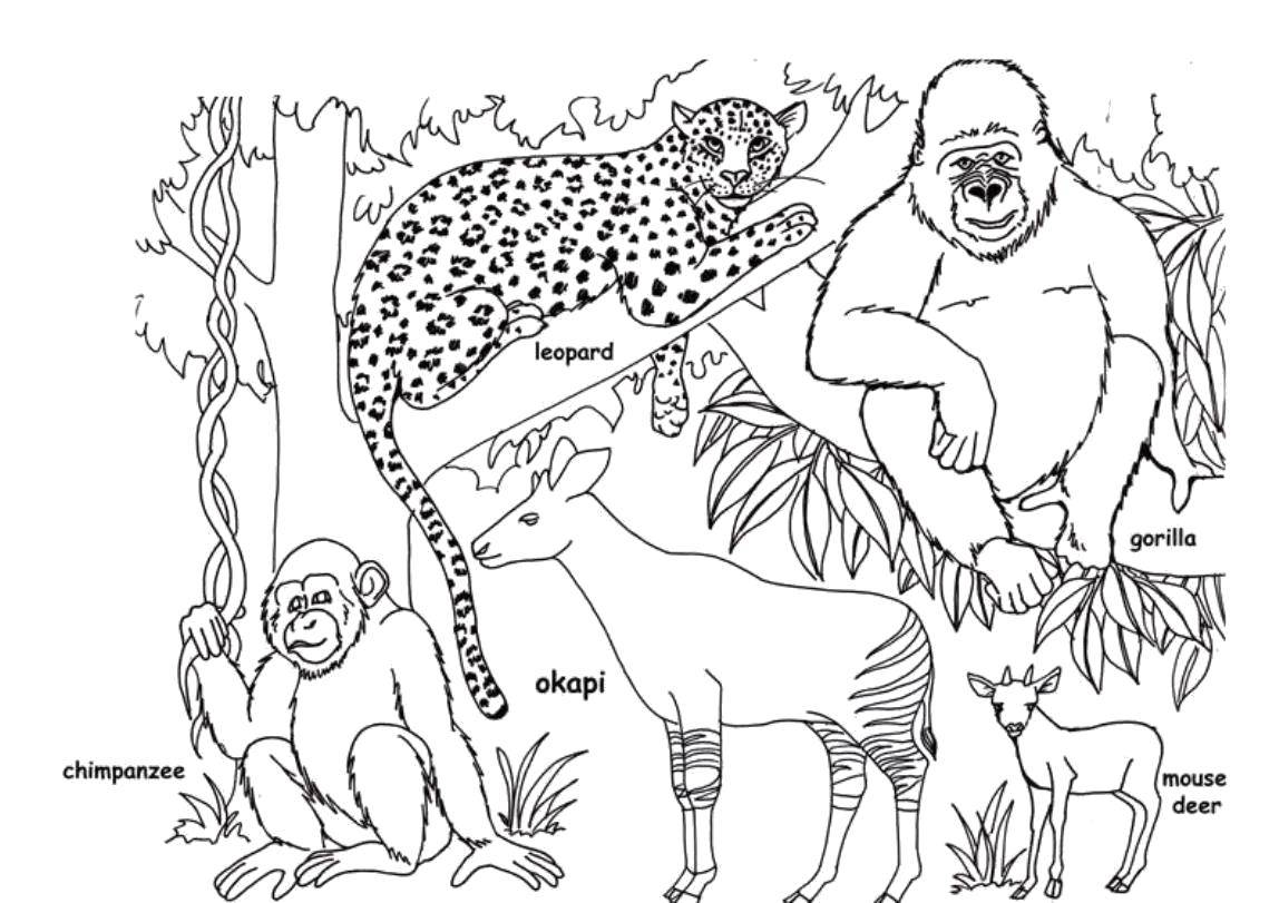 Coloring Animals in English. Category English. Tags:  English, animals.