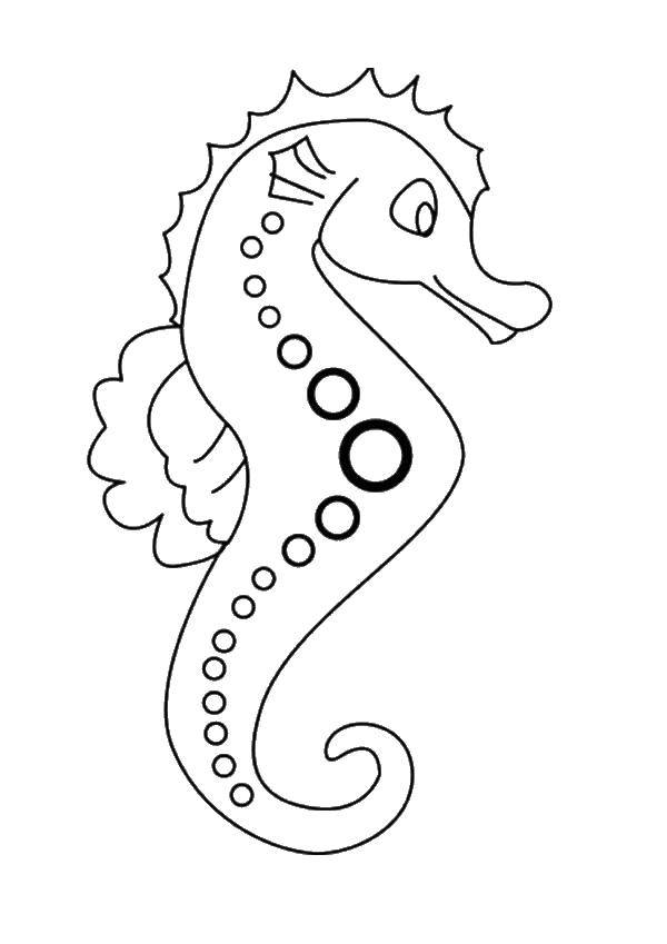 Coloring Seahorse. Category Marine animals. Tags:  Underwater world, seahorses.
