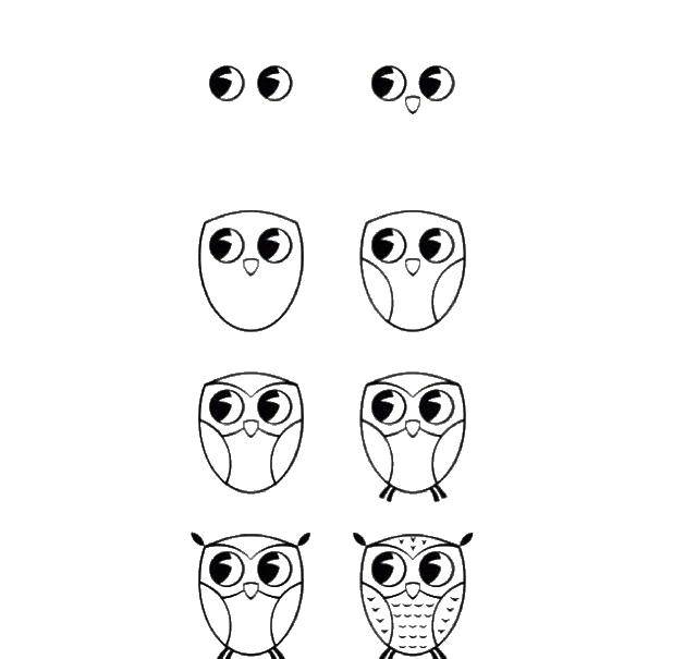 Название: Раскраска Рисуем сову. Категория: как нарисовать пошагово. Теги: Пошаговый рисунок.