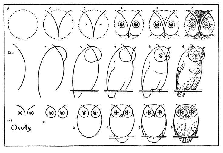 Название: Раскраска Рисуем сову. Категория: как нарисовать пошагово. Теги: Пошаговый рисунок.