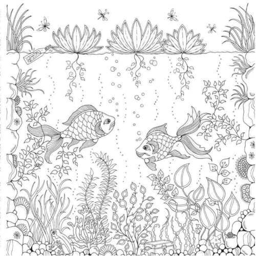 Coloring Fish swim in water. Category Bathroom with shower. Tags:  Bathroom with shower.