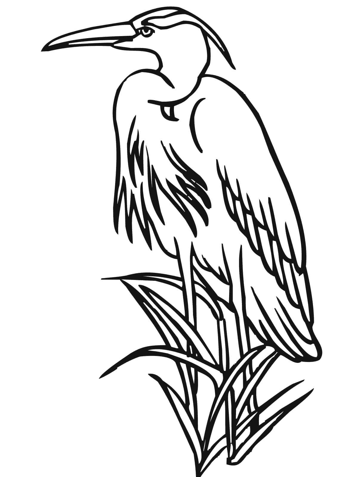 Coloring Heron in the grass. Category The contours for cutting out the birds. Tags:  Heron, grass.