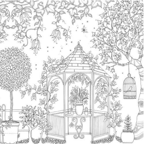 Раскраска Стрекоза Альбом Цветы из сада