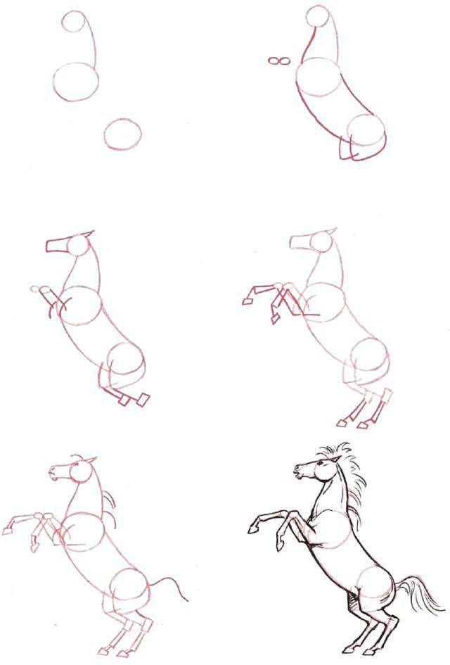Название: Раскраска Рисуем лошадь. Категория: как нарисовать пошагово. Теги: Пошаговый рисунок.