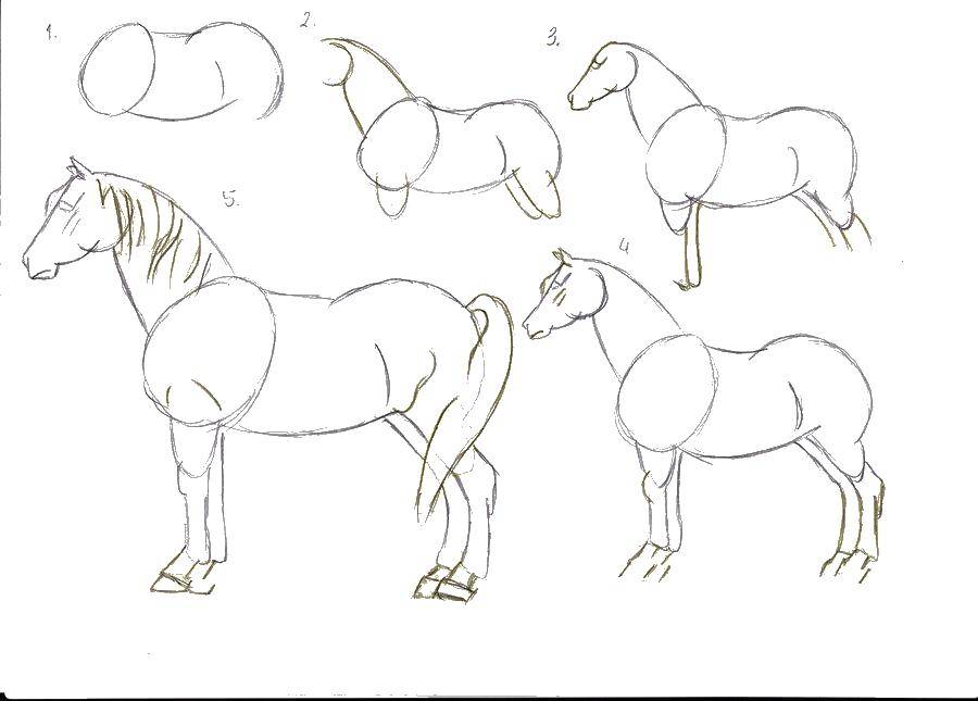 Название: Раскраска Рисуем лошадь. Категория: как нарисовать пошагово. Теги: Пошаговый рисунок.