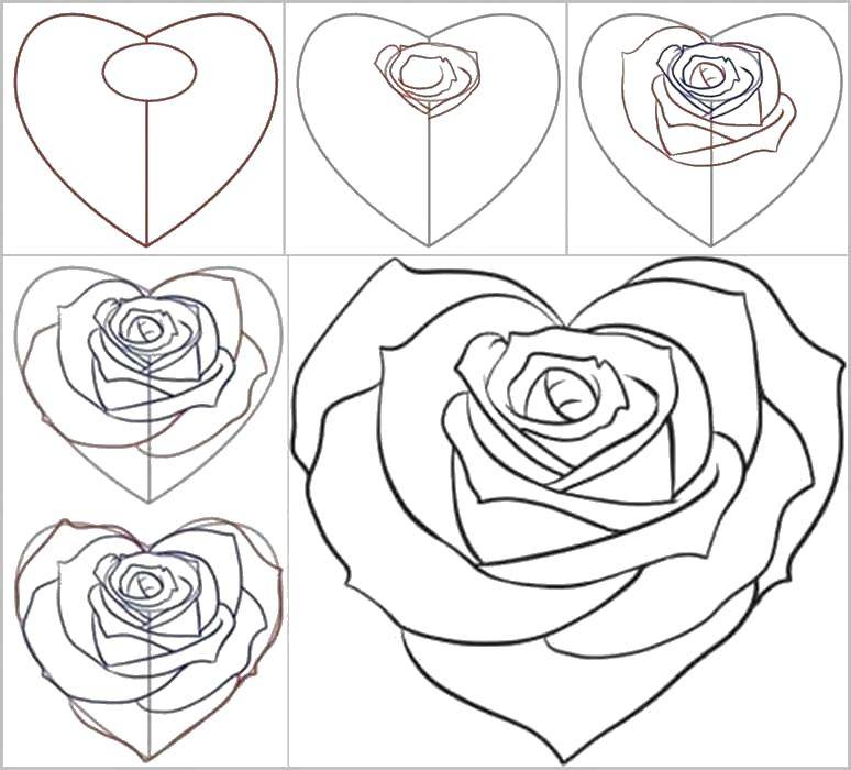 Coloring Draw a rose. Category how to draw step by step. Tags:  Step-by-step drawing.