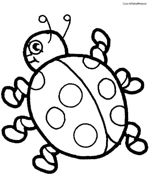 Coloring Ladybug. Category coloring. Tags:  Insects, ladybug.