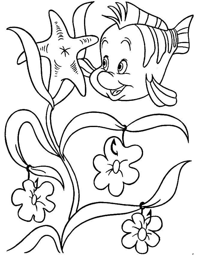 Coloring Flounder. Category Disney cartoons. Tags:  Disney, the little mermaid, Ariel.