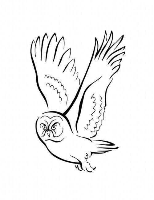 Coloring Flying owl. Category birds. Tags:  Birds, owl.
