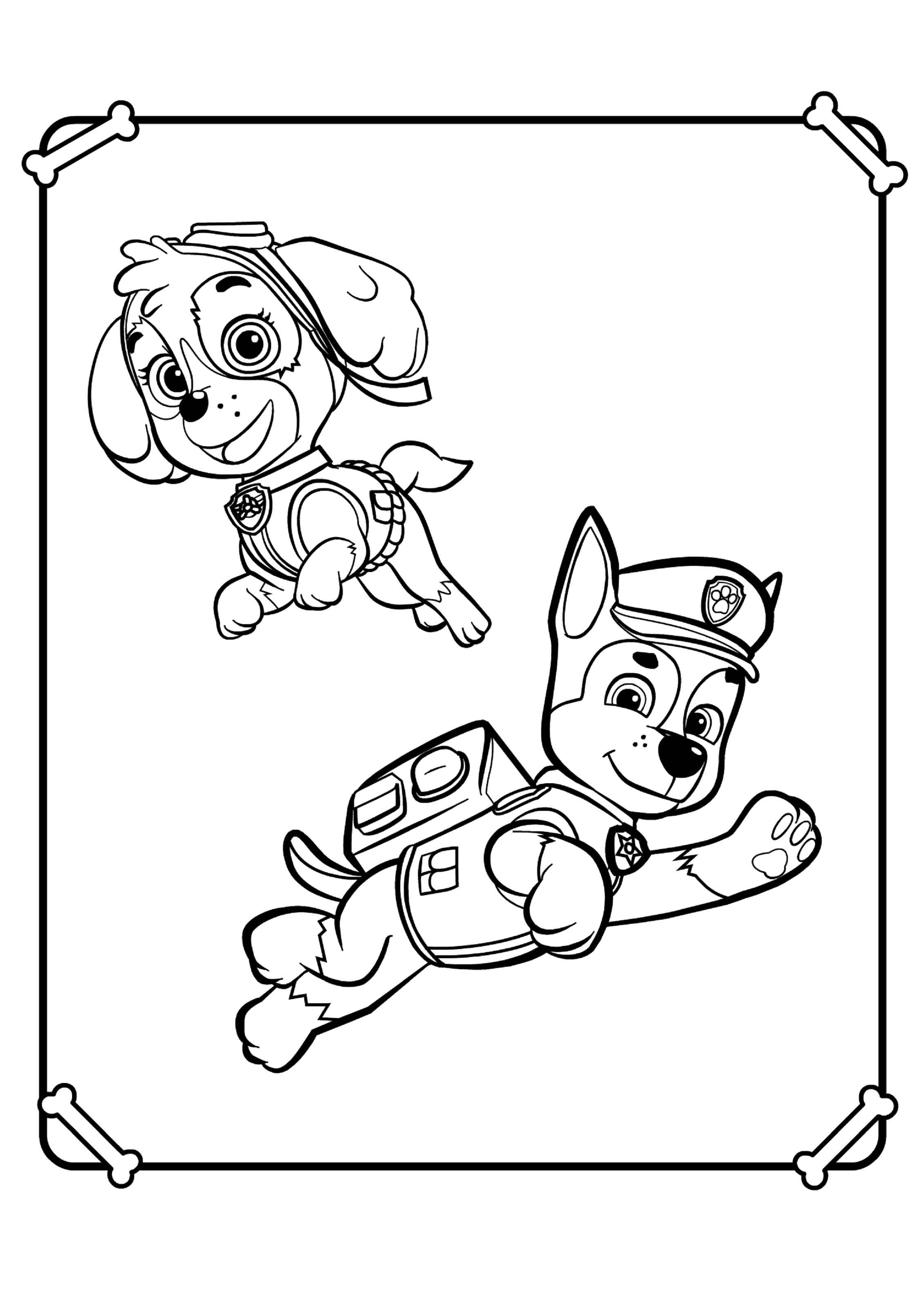 Coloring Chase and Skye. Category paw patrol. Tags:  Paw patrol.