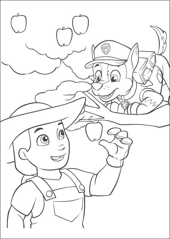 Coloring Chase. Category paw patrol. Tags:  Paw patrol.