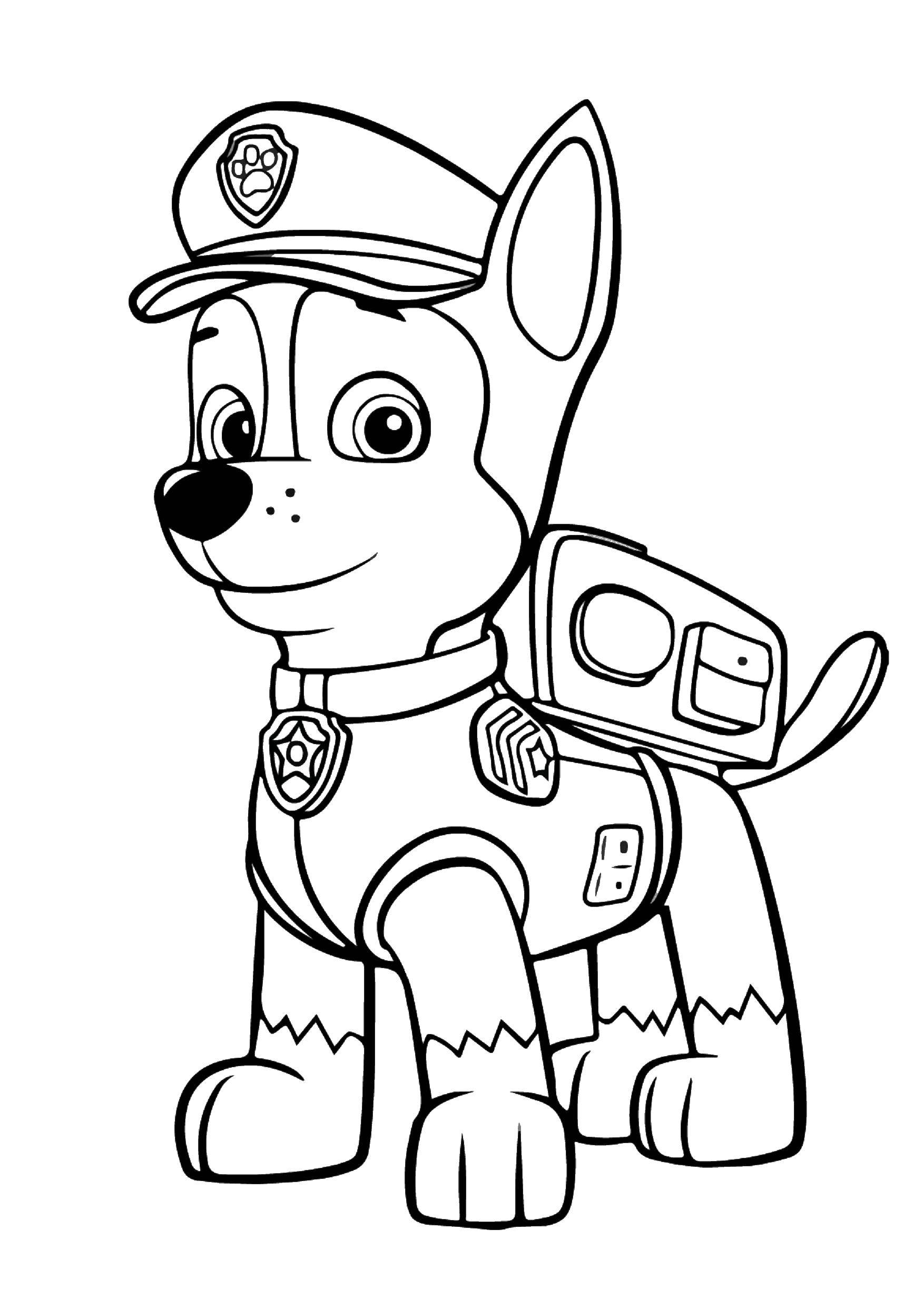 Название: Раскраска Чейз. Категория: щенячий патруль. Теги: Щенячий патруль.