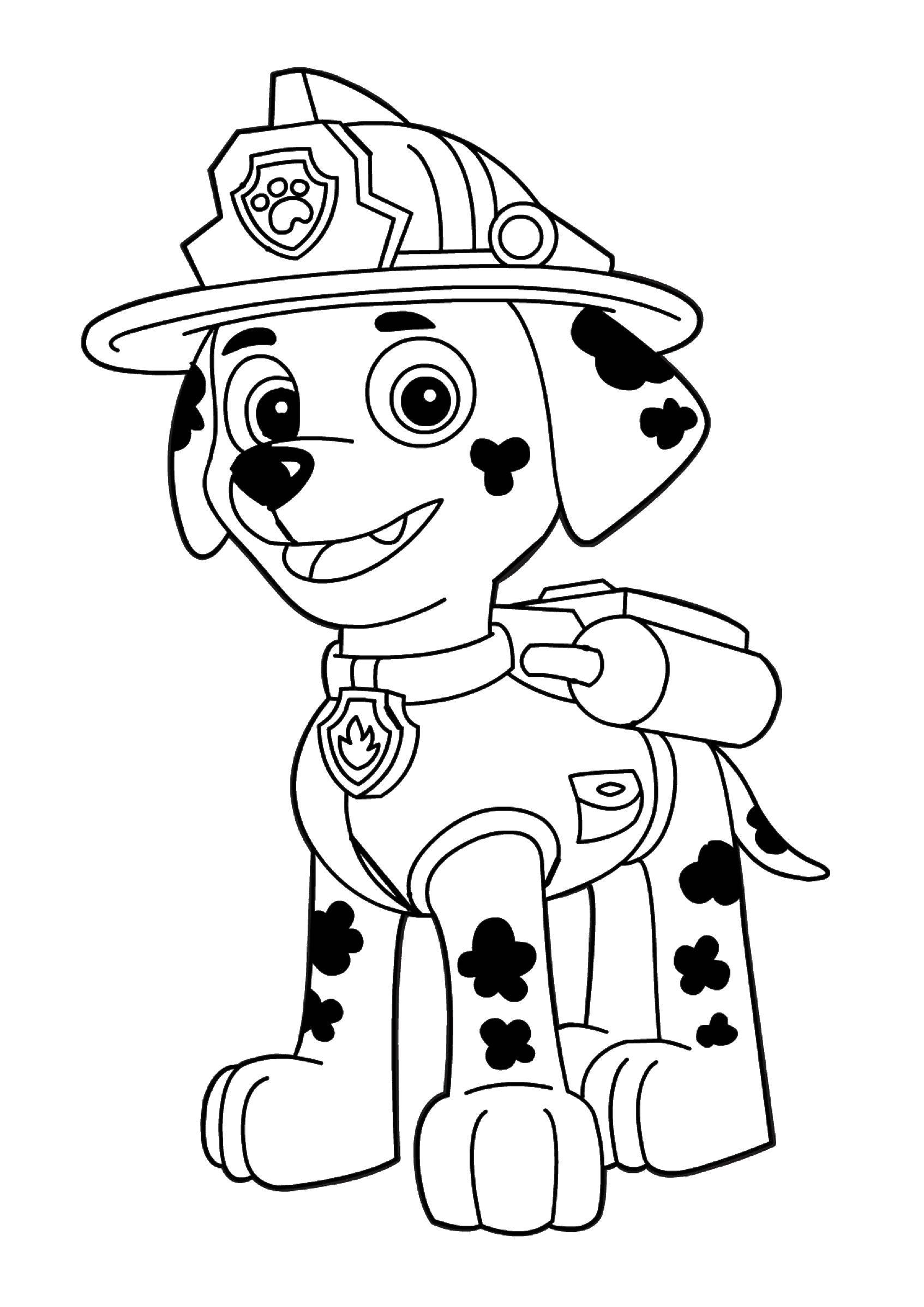 Coloring Dalmatians Marshal. Category paw patrol. Tags:  Paw patrol.