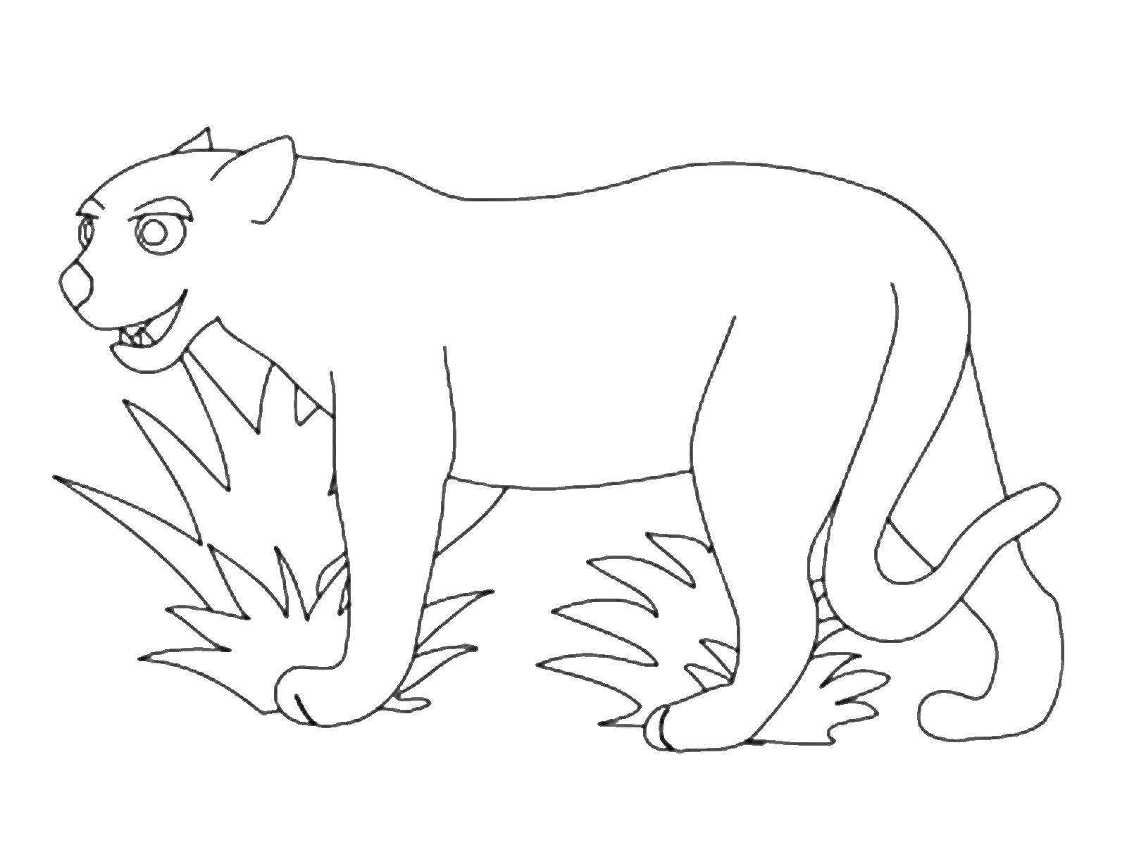 Coloring Panther. Category Animals. Tags:  Animals, Panther.