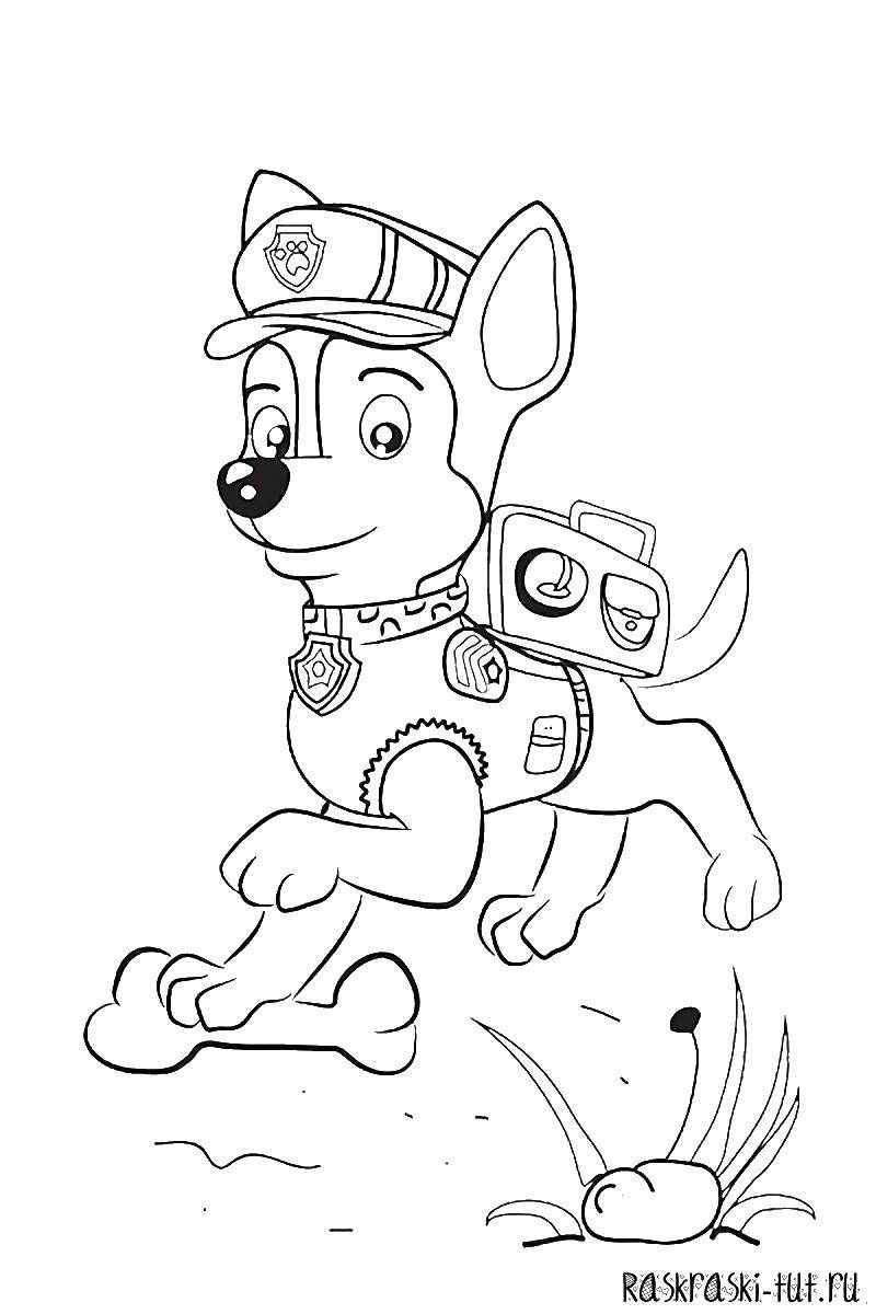 Название: Раскраска Щенячий патруль. Категория: щенячий патруль. Теги: Щенячий патруль.
