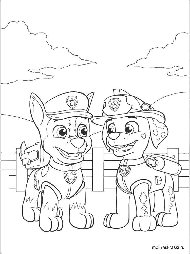 Название: Раскраска Чеиз и маршал. Категория: Персонажи из мультфильма. Теги: щенячий патруль.