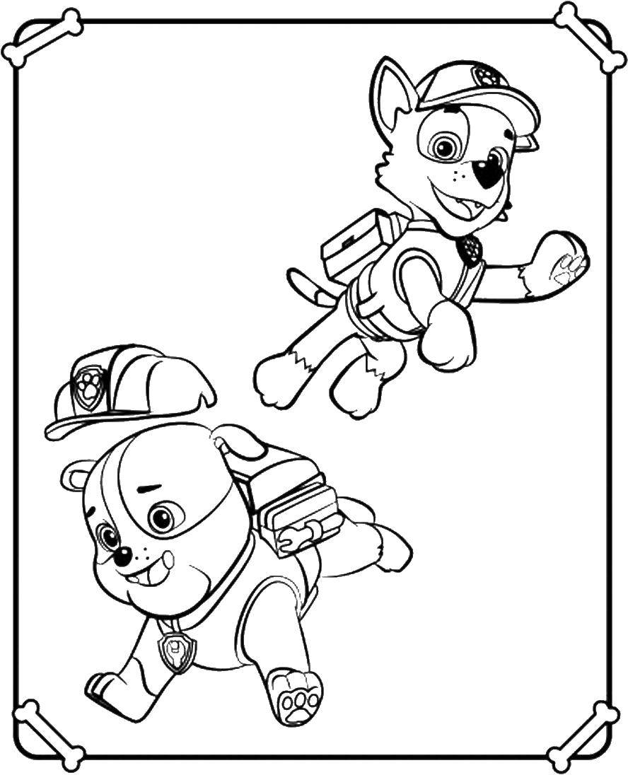 Coloring Chase and burly. Category paw patrol. Tags:  Paw patrol.