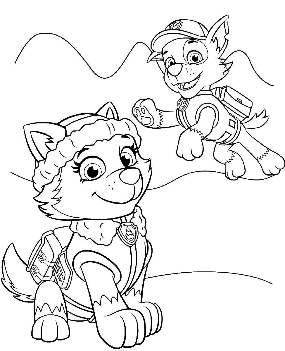 Coloring Everest the husky puppy and rocky. Category paw patrol. Tags:  EVEREST, paw patrol.